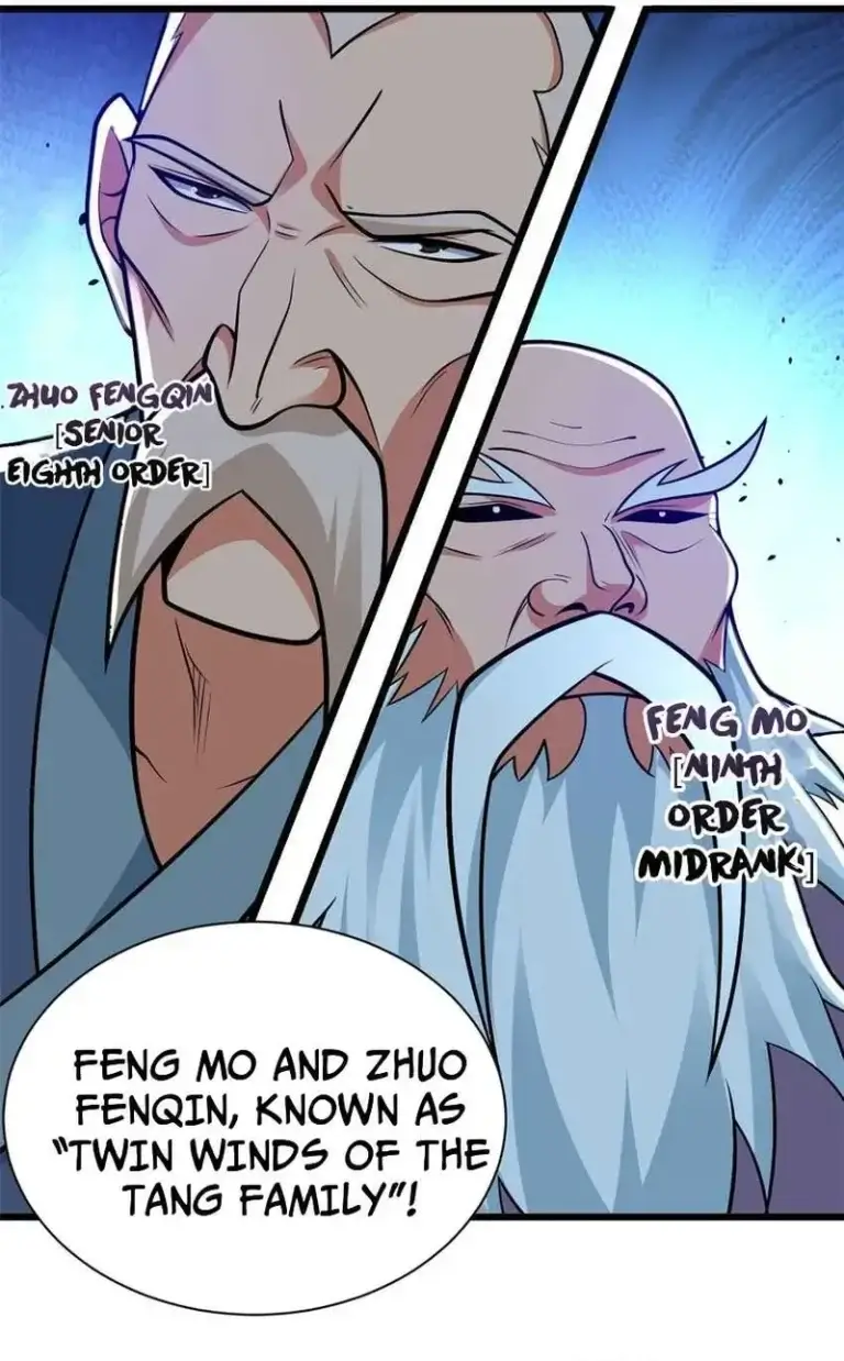 FENG MO AND ZHUO FENQIN, KNOWN AS "TWIN WINDS OF THE TANG FAMILY"