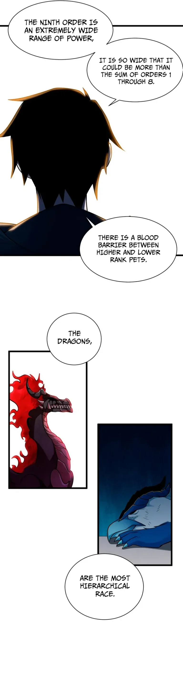 THE DRAGONS,